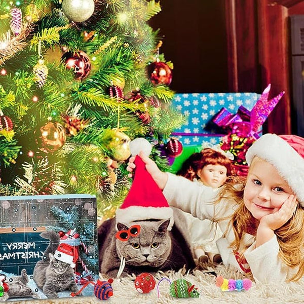 🐱2025 Christmas Countdown Cat Toys Advent Calendar🐈