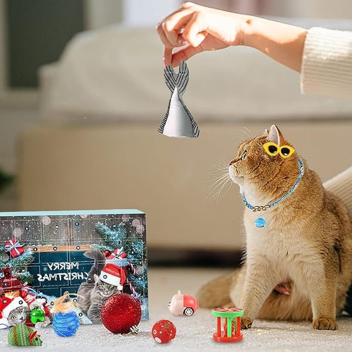 🐱2025 Christmas Countdown Cat Toys Advent Calendar🐈