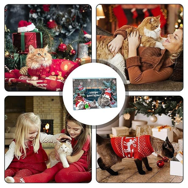 🐱2025 Christmas Countdown Cat Toys Advent Calendar🐈